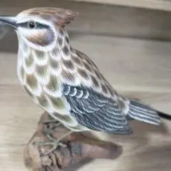 Item thumbnail for item bbc08c2e-8e37-48f8-b85f-2ed2056b0022