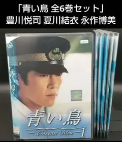 2025年最新】青い鳥 dvd 豊川悦司の人気アイテム - メルカリ