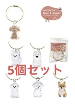 Item thumbnail for item a115d4a4-3927-4766-8c4b-2d66b0969242