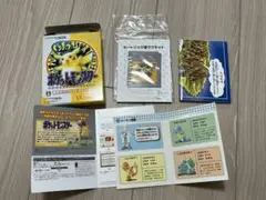 ポケットモンスター ピカチュウ版 専用ダウンロードカード 特別版 使用済み