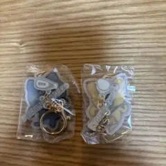 Item thumbnail for item 729110a4-4dbb-48b1-89ed-0682f8564cdd