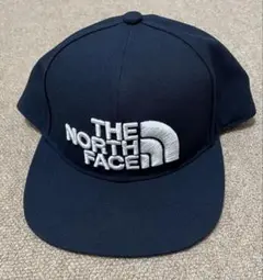 Item thumbnail for item 026a0d40-b955-4884-bba9-84bcabd62f5c