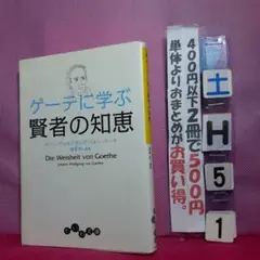 点シミ　ゲーテに学ぶ賢者の知恵