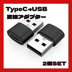 USB Type-C 変換アダプター 変換コネクター ブラック 2個SET