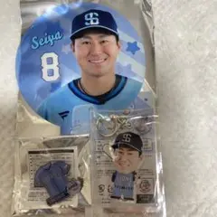ライオンズフェスティバル うちわキーホルダー ビッグフェイスキーホルダー渡部聖弥