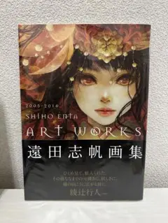 津田志帆 画集 2005-2014