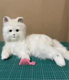 夢ねこ ヴィーナス Amazon.co.jp: 夢ねこ ヴィーナス : おもちゃ