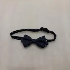 Item thumbnail for item fd92d138-a819-4369-a80b-b68103ec25e9