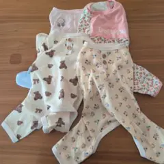 小型犬（4キロ）用
