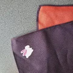 Item thumbnail for item 6950658c-7268-489e-8c58-975d3f7db870