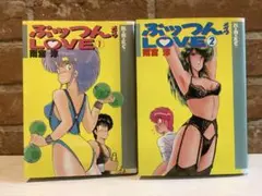 雨宮淳『ぷっつんメイクLOVE 1・2巻』