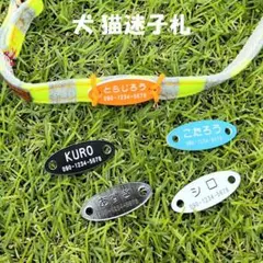 Item thumbnail for item 40a09b0a-f981-432f-a215-958d96d3b03b