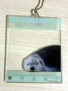 カプくじ 鳥羽水族館 メイ