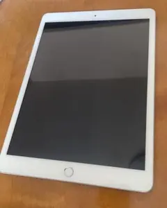Apple iPad （第8世代）Wi-Fi＋Cellularモデル　中古