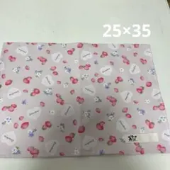 Item thumbnail for item 2ed585d6-46d9-40f6-bca4-394c8e7f7a47