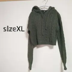 Item thumbnail for item 135de680-646e-434c-89d8-c6801acaca1c