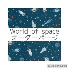 World of space オーダーページ