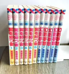 翼を持つ者全６巻＆幻影夢想全５巻　高屋奈月11冊セット