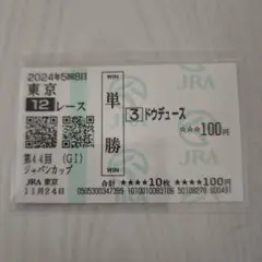 ドウデュース　ジャパンカップ　現地的中単勝馬券