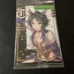 ウマ娘 プリティーダービーツインウエハース　「フジキセキ」 　17