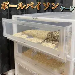 ボールパイソンケージ 34×44.5×18 2個セット