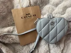 coach ハート ギルティング バック