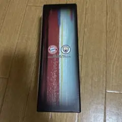 FCバイエルン・ミュンヘン ステンレスボトル 500ml