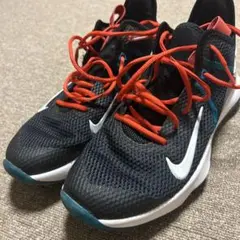 NIKE レブロンウィットネス 4 イーピー