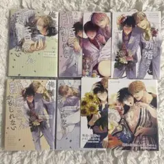 ちしゃの実 俺達は新婚さんかもしれない 全巻＋アニメイト特典セット