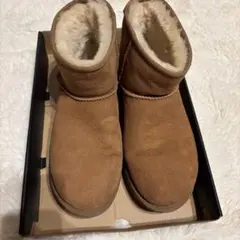 UGG M CLASSIC MINI 10 (USA) 茶色