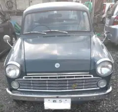 m44196408023_1.jpg?1714379627
