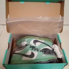NIKE SB DUNK LOW "SEA CRYSTAL" 23.0cm
