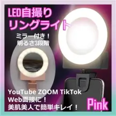 Item thumbnail for item c4dd5535-971f-4017-9866-01b74a566286