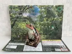 ネイチャーテクニカラー