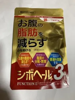 Item thumbnail for item 32d086f3-5f4a-40d4-bf8e-54078d19b8cb