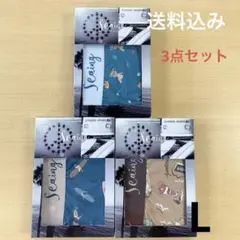 【お得】Seaiing 男性用下着　3点セット