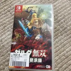 ゼルダ無双 厄災の黙示録 Nintendo Switch 厄災無双