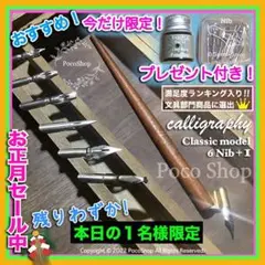 ♧正月セール♣︎追加先着1名 限定特典付き ペン先ニブ カリグラフィー セット