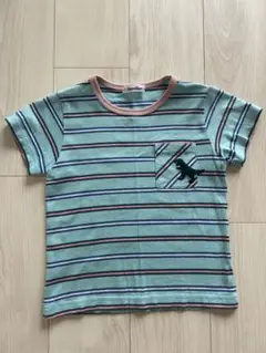 ファミリア　Tシャツ　恐竜