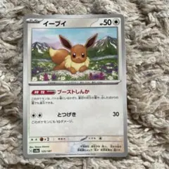 イーブイ 2024.