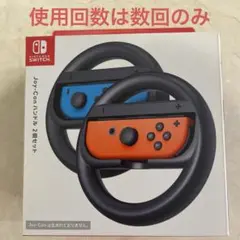 SW Joy-Conハンドル 2個セット