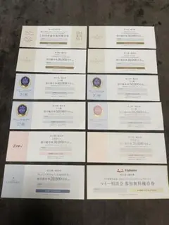 ☆新品未使用 タメニー 株主優待 12枚セット