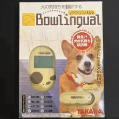 英語教材　REAL Lingual 2025年最新】リアルリンガルの人気アイテム - メルカリ