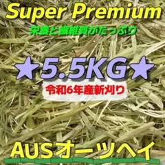 Item thumbnail for item 6ab3f6cb-b32c-4843-bc6b-2ec1eae4a846