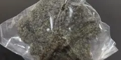 じょせまる 黒 ぬいぐるみ マスコット ガチャ カプセルトイ