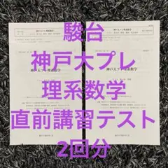 駿台2024/2025直前 神戸大プレ物理&物理テキスト2冊 美品 駿台2024/2025直前 神戸大プレ物理&物理テキスト2冊 美品