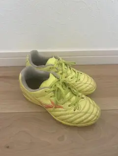 MIZUNO MONARCIDA 20㎝