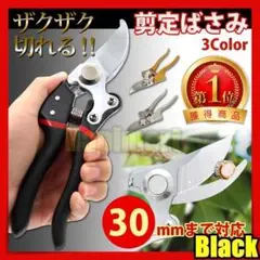剪定ばさみ はさみ ハサミ 強力 庭b ガーデン 園芸 枝切りばさみ 黒色sjk