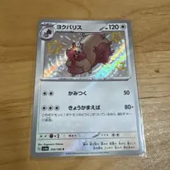 ヨクバリス 120 HP ポケモンカード