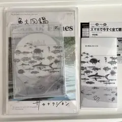 2025年最新】サカナクション 魚図鑑 完全生産限定盤 プレミアム